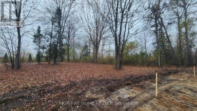 15 CONCORD ROAD West Nipissing (Sturgeon Falls) Ontario photo 8