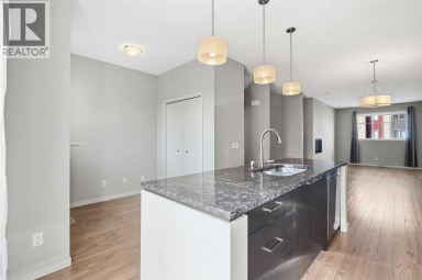 209 Copperpond Row SE Calgary Alberta photo 18