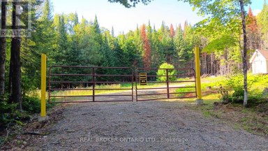 1555 MINNICOCK LAKE ROAD Dysart et al (Dysart) Ontario photo 1