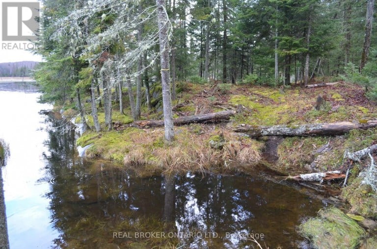 1555 MINNICOCK LAKE ROAD, Dysart et al (Dysart), Ontario, K0M1S0
