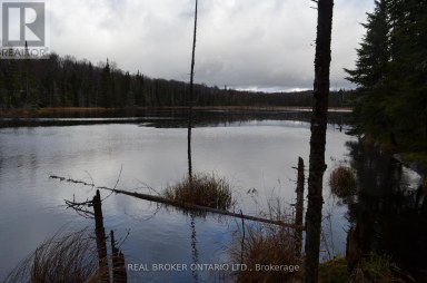 1555 MINNICOCK LAKE ROAD Dysart et al (Dysart) Ontario photo 11