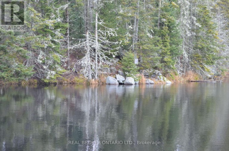 1555 MINNICOCK LAKE ROAD, Dysart et al (Dysart), Ontario, K0M1S0