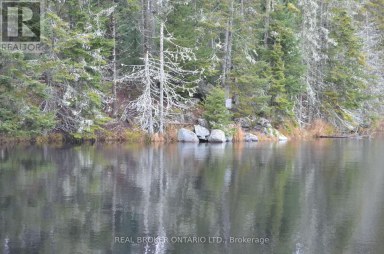 1555 MINNICOCK LAKE ROAD Dysart et al (Dysart) Ontario photo 12