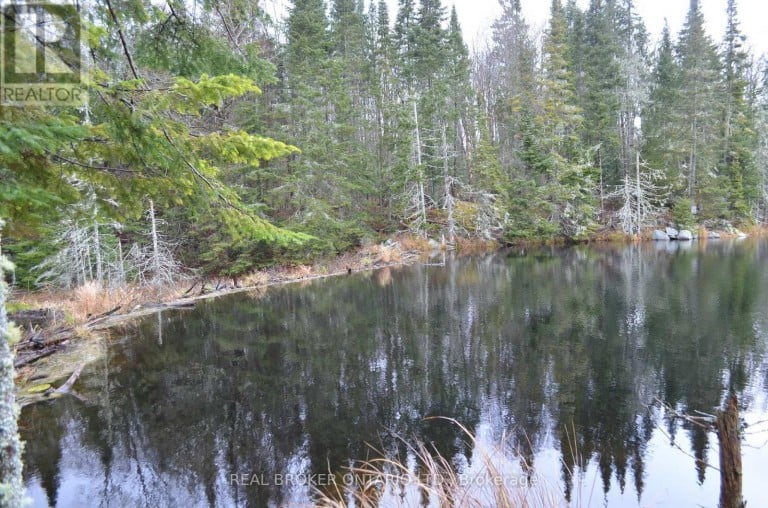 1555 MINNICOCK LAKE ROAD, Dysart et al (Dysart), Ontario, K0M1S0