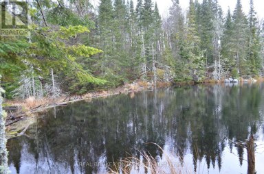 1555 MINNICOCK LAKE ROAD Dysart et al (Dysart) Ontario photo 13