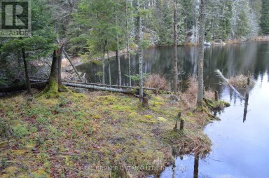 1555 MINNICOCK LAKE ROAD Dysart et al (Dysart) Ontario photo 14