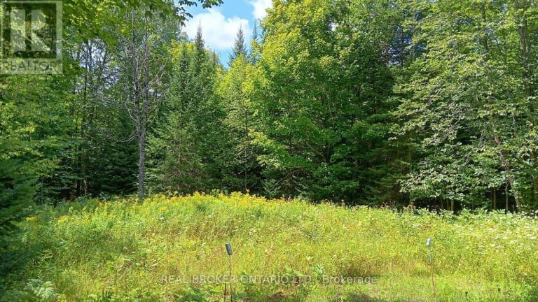 1555 MINNICOCK LAKE ROAD, Dysart et al (Dysart), Ontario, K0M1S0