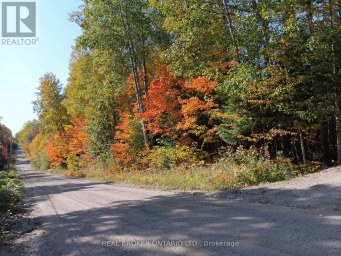 1555 MINNICOCK LAKE ROAD Dysart et al (Dysart) Ontario photo 8