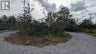 0 COUNTY ROAD 2, Loyalist (lennox And Addington - South), Ontario, K7P0N8 (ID X13701148)
