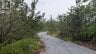 0 COUNTY ROAD 2, Loyalist (lennox And Addington - South), Ontario, K7P0N8 (ID X13701148)