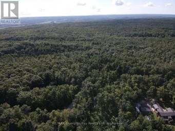 168 PETER STREET E Oro-Medonte Ontario photo 11