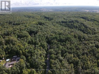 168 PETER STREET E Oro-Medonte Ontario photo 12