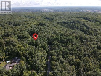 168 PETER STREET E Oro-Medonte Ontario photo 4