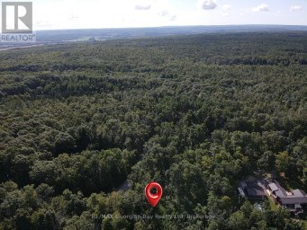 168 PETER STREET E Oro-Medonte Ontario photo 5