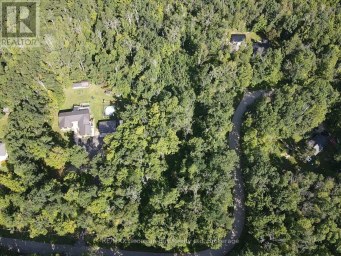 168 PETER STREET E Oro-Medonte Ontario photo 6