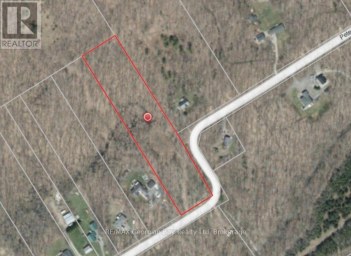 168 PETER STREET E Oro-Medonte Ontario photo 8