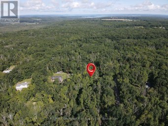 168 PETER STREET E Oro-Medonte Ontario photo 9