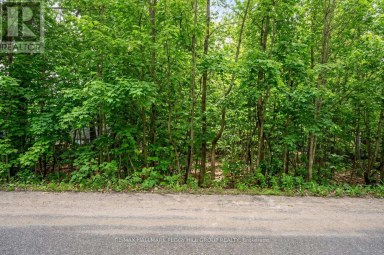 17 VALLEYVIEW DRIVE Oro-Medonte Ontario photo 3