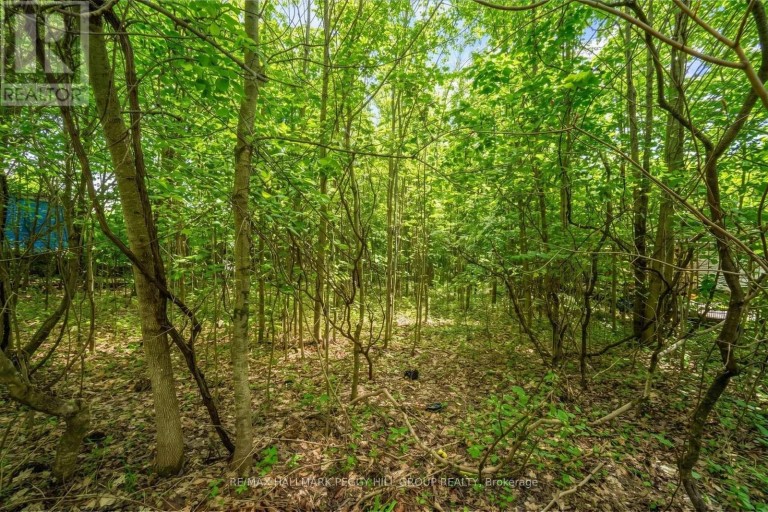 17 VALLEYVIEW DRIVE, Oro-Medonte, Ontario, L0K1N0