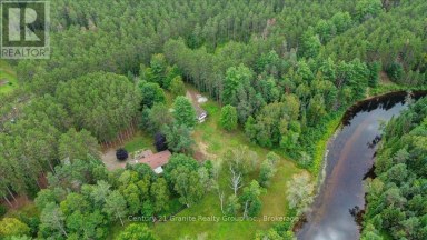 32 FIREHALL LANE Hastings Highlands (Herschel Ward) Ontario photo 45