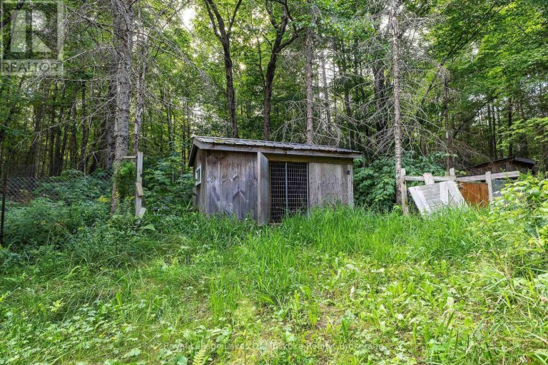88 RYE ROAD, Parry Sound Remote Area (Lount), Ontario, P0A1X0
