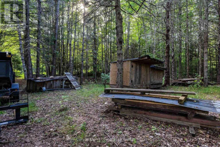 88 RYE ROAD, Parry Sound Remote Area (Lount), Ontario, P0A1X0