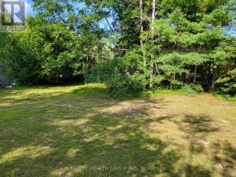 LT 50 CEDAR GROVE DRIVE Tiny Ontario photo 4