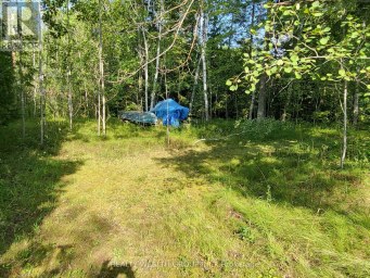 LT 50 CEDAR GROVE DRIVE Tiny Ontario photo 5