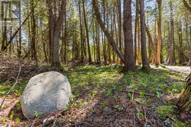 228 COREY CRESCENT Northern Bruce Peninsula Ontario photo 15