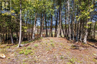 228 COREY CRESCENT Northern Bruce Peninsula Ontario photo 18