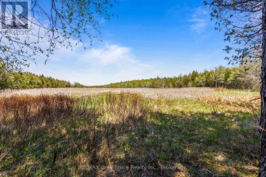 228 COREY CRESCENT Northern Bruce Peninsula Ontario photo 19
