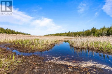 228 COREY CRESCENT Northern Bruce Peninsula Ontario photo 22