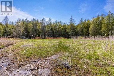 228 COREY CRESCENT Northern Bruce Peninsula Ontario photo 23