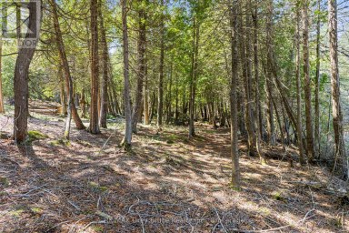 228 COREY CRESCENT Northern Bruce Peninsula Ontario photo 24