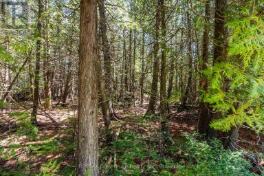 228 COREY CRESCENT Northern Bruce Peninsula Ontario photo 25
