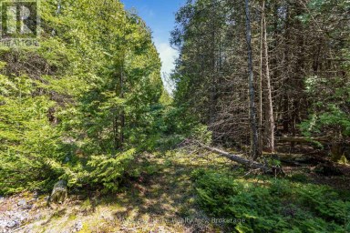 228 COREY CRESCENT Northern Bruce Peninsula Ontario photo 27
