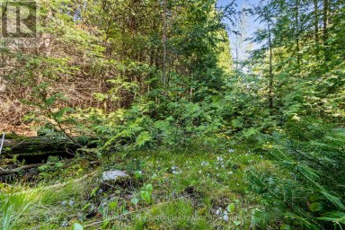 228 COREY CRESCENT Northern Bruce Peninsula Ontario photo 28