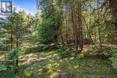 228 COREY CRESCENT Northern Bruce Peninsula Ontario photo 29