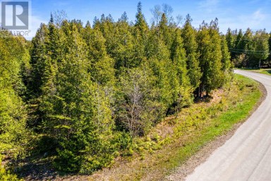 228 COREY CRESCENT Northern Bruce Peninsula Ontario photo 30