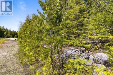 228 COREY CRESCENT Northern Bruce Peninsula Ontario photo 31