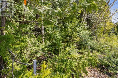 228 COREY CRESCENT Northern Bruce Peninsula Ontario photo 33