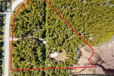 228 COREY CRESCENT Northern Bruce Peninsula Ontario photo 38