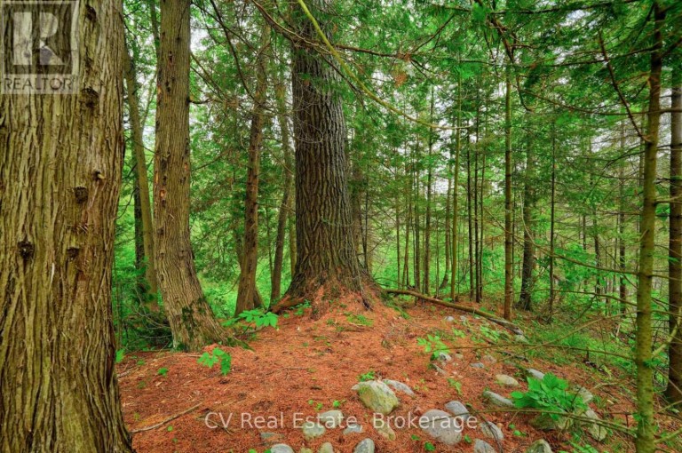625 CHETWYND ROAD, Armour, Ontario, P0A1C0