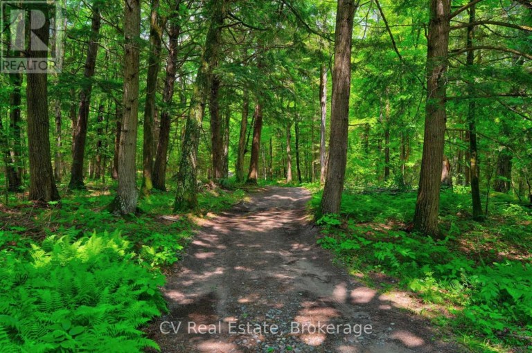 625 CHETWYND ROAD, Armour, Ontario, P0A1C0