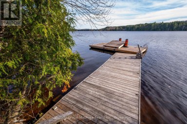 562 AND 568 EAST WASEOSA LAKE ROAD Huntsville (Chaffey) Ontario photo 40