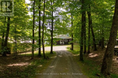 562 AND 568 EAST WASEOSA LAKE ROAD Huntsville (Chaffey) Ontario photo 6