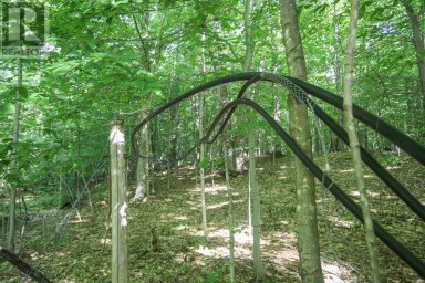 Lot 6 Hilton RD Jocelyn Township Ontario photo 29