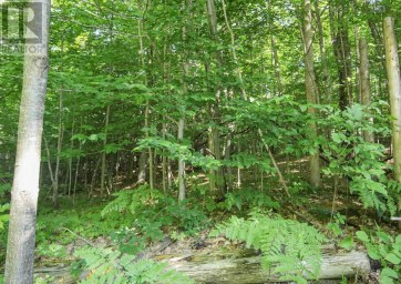 Lot 6 Hilton RD Jocelyn Township Ontario photo 30