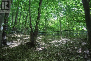 Lot 6 Hilton RD Jocelyn Township Ontario photo 31