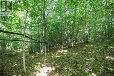 Lot 6 Hilton RD Jocelyn Township Ontario photo 32